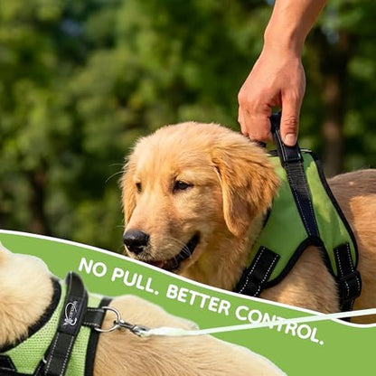 No Pull Reflective Adjustable Dog Harness - Image 6