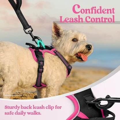 rabbitgoo Dog Harness, No Pull for Small Dogs - Image 6