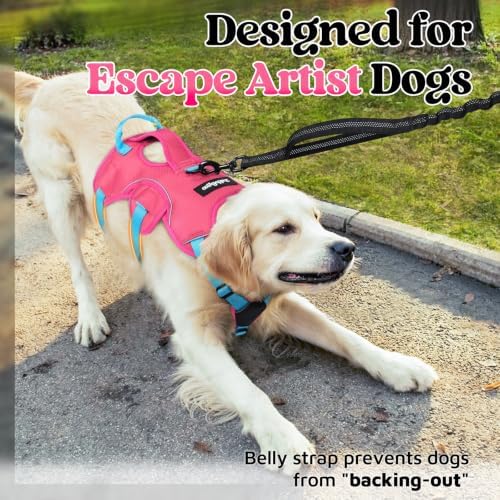 rabbitgoo Escape Proof Dog Harness - Image 2
