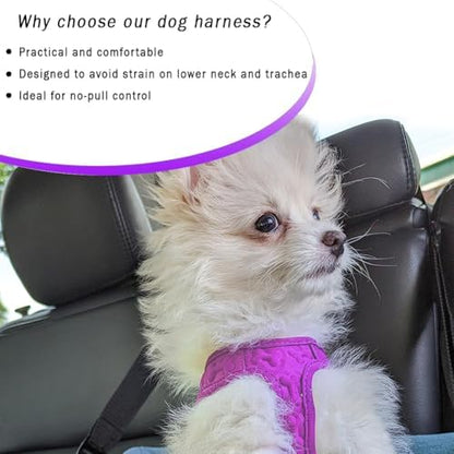 Comfort Fit Dog Harness Step in No Pull Harness - Image 2