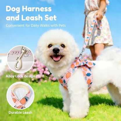 BAEJMJK Dog Harness and Leash Set - Image 7