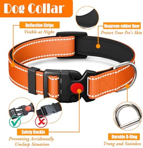 LOBEVE No Pull Dog Harness, Collar & Leash Set - Image 6