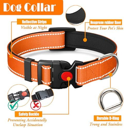 LOBEVE No Pull Dog Harness, Collar & Leash Set - Image 6