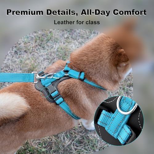 Plutus Pet No Pull Dog Harness - Image 2