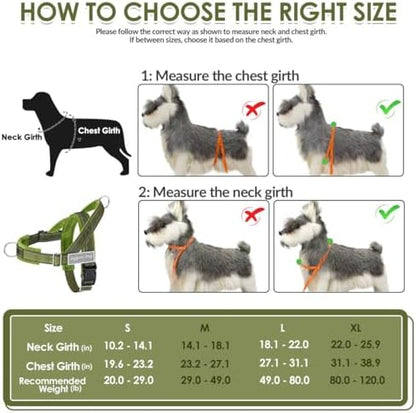 SlowTon No Pull Dog Harness and Leash Set - Image 6