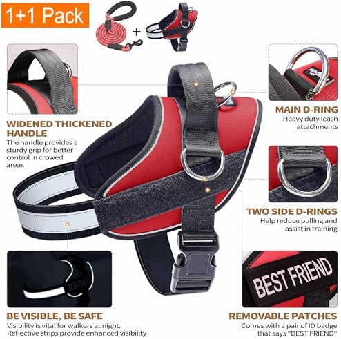 Haapaw Essential Dog Harness, No Pull Pet Vest - Image 2