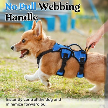 rabbitgoo Escape Proof Dog Harness - Image 4