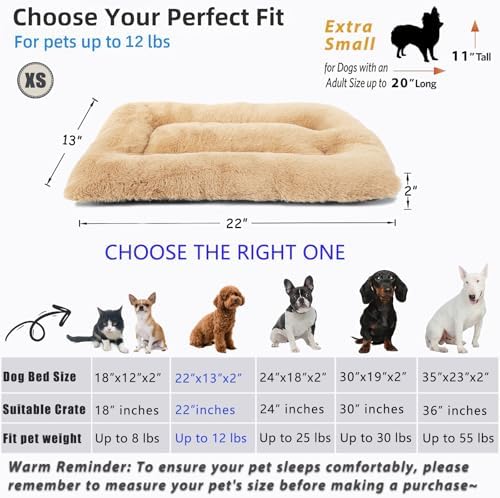 Small Dog Crate Pad 22 x 13 Washable Dog Beds - Image 4