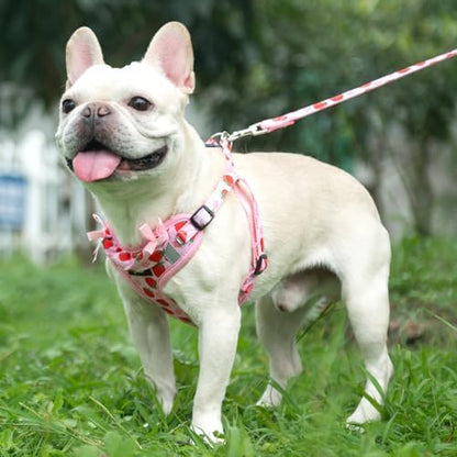 PUPTECK Dog Harness and Leash Set Medium Sized, Step in No Pull Adjustable - Image 5