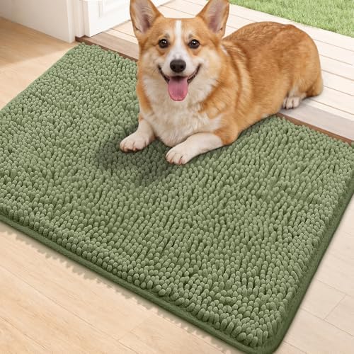 Bcoimo Super Absorbent Dog Door Mat by Bcoimo