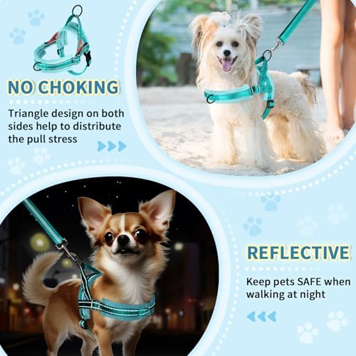 SlowTon No Pull Small Dog Harness and Leash Set - Image 3