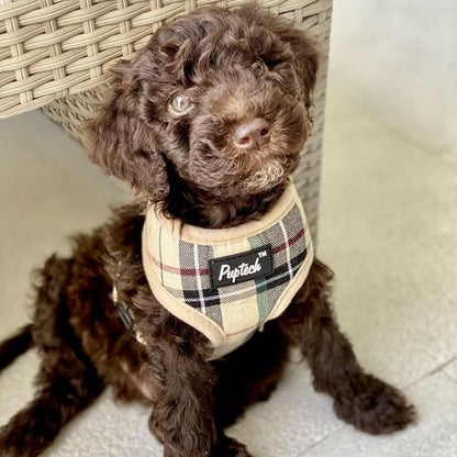 PUPTECK Small Dog Harness and Leash Set No Pull - Image 6