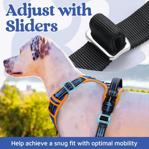 rabbitgoo Dog Harness for Large, No Pull 3 Buckles Easy On & Off - Image 5