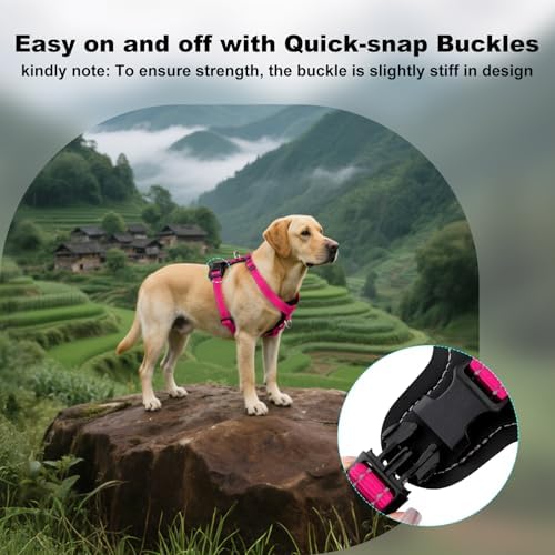 Plutus Pet No Pull Dog Harness - Image 6