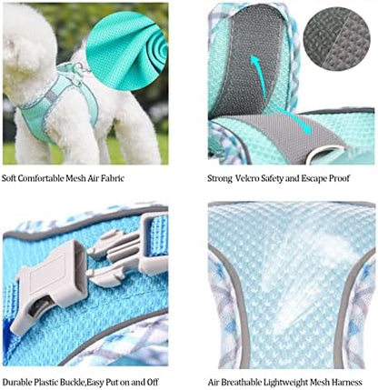 Step in Mesh Dog Harness and Leash Set Breathable Air Mesh Harness - Image 6