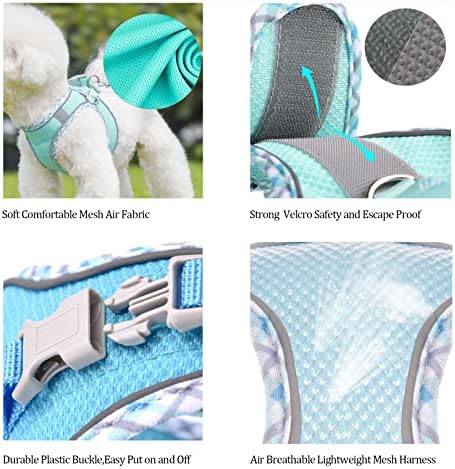 Step in Mesh Dog Harness and Leash Set Breathable Air Mesh Harness - Image 5