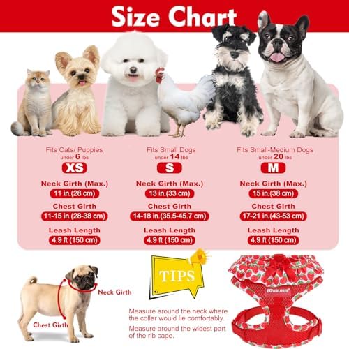 EXPAWLORER Step-in Dog Harness Small Sized and Leash Set - Image 2