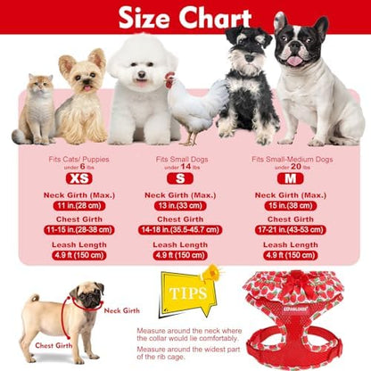 EXPAWLORER Step-in Dog Harness Small Sized and Leash Set - Image 2