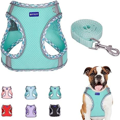 Step in Mesh Dog Harness and Leash Set Breathable Air Mesh Harness by BTDCFY