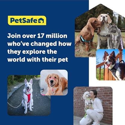 PetSafe Gentle Leader No-Pull Dog Headcollar - Image 6