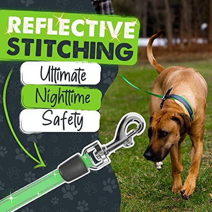 Mighty Paw Retractable Dog Leash - Image 6