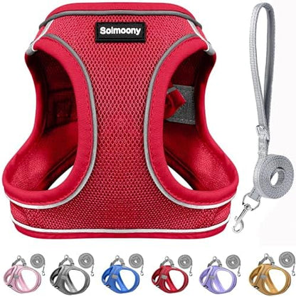Solmoony Sparkly Medium Dog Harness and Leash Set, Step in Soft Light Puppy Vest by SOLMOONY