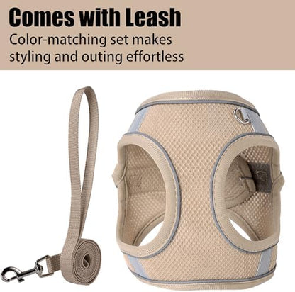Dog Harness for Small Medium Sized Dog, Puppy Harness and Leash Set Training - Image 3