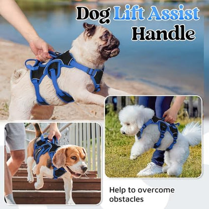 rabbitgoo Escape Proof Dog Harness - Image 5