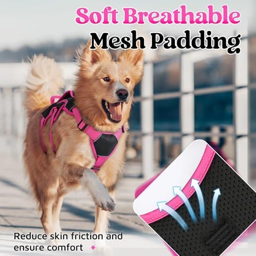 rabbitgoo Escape Proof Dog Harness - Image 7