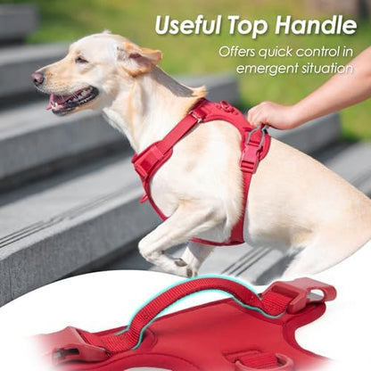 Sunraymascota No Pull Dog Harness - Image 4