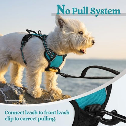 rabbitgoo Dog Harness No Pull - Image 5