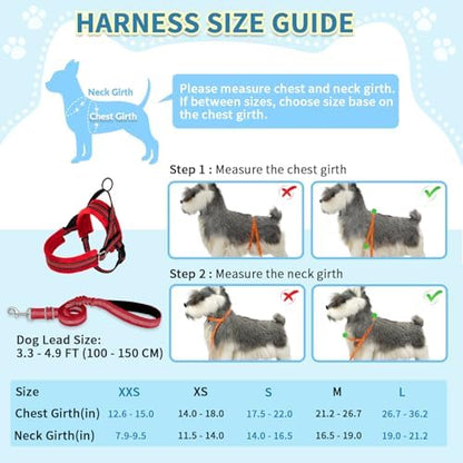 SlowTon No Pull Small Dog Harness and Leash Set - Image 5