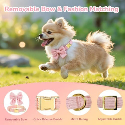 Small Dog Collar Harness and Leash Set, Dog Harness no Pull - Image 4