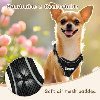Small Dog Harness and Leash Set, Adjustable Small Sized Pet Vest - Image 5