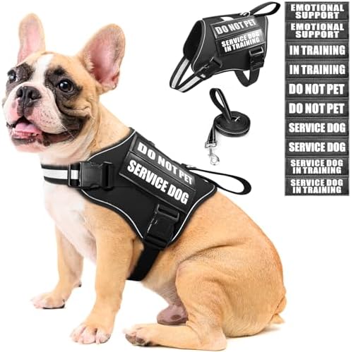 Service Dog Vest Harness and Leash Set+10 Patches, Easy Walk Black M by MOOGROUPETSFRIEND