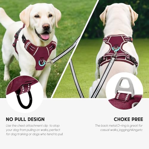 Timos Dog Harness Small Sized, Neck Quick Release - Image 5