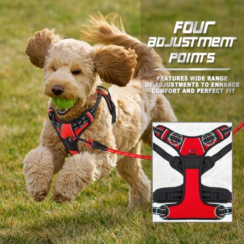 BARKBAY Dog Harness No Pull for Small Sized Dog Front Back Clips, Dog Vest - Image 6