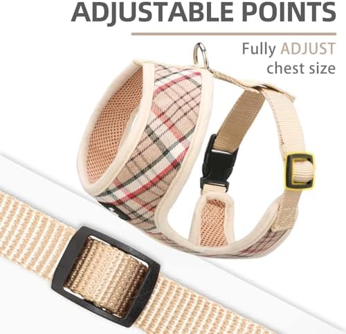 PUPTECK Small Dog Harness and Leash Set No Pull - Image 3