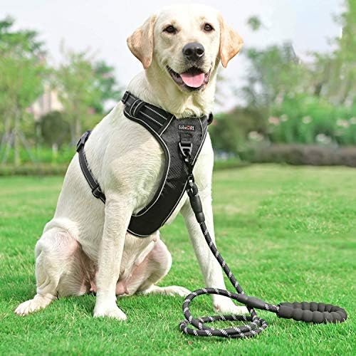 tobeDRI No Pull Dog Harness Adjustable Reflective Oxford Easy Control Medium - Image 4