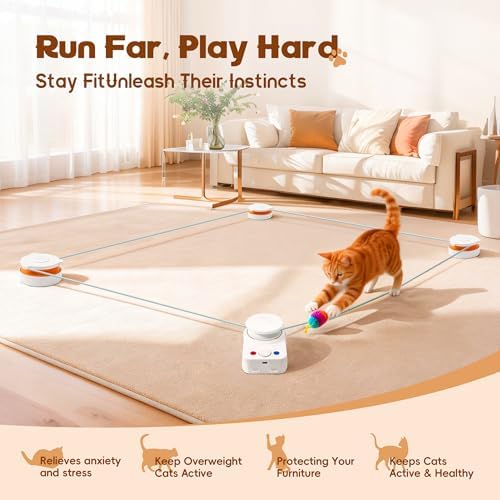 Interactive Cat Toy for Indoor Cat, Automatic Treadmill for Exercise - Image 2