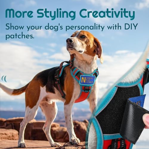 Eagloo Dog Harness No Pull for Large Dogs, Easy On & Off - Image 4
