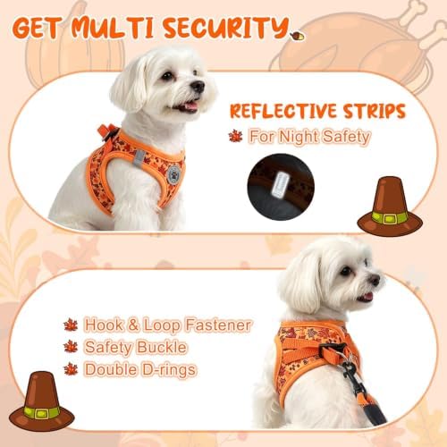 BEAUTYZOO Small Dog Harness and Leash Set, Step in No Choke No Pull Soft Mesh - Image 3