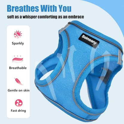 Solmoony Sparkly Small Dog Harness and Leash Set, Step in Soft Light Puppy Vest - Image 4