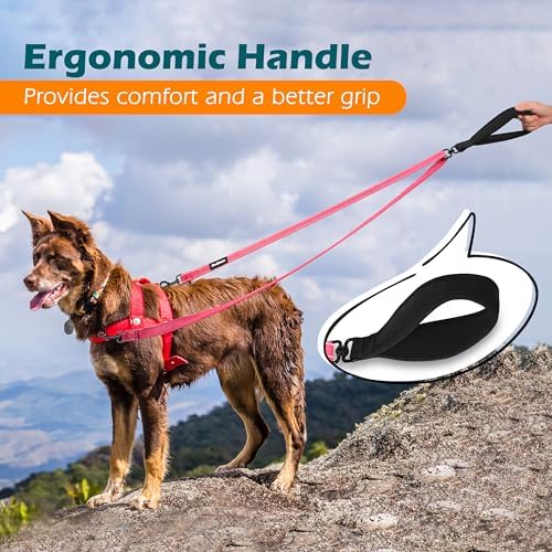 PetBonus Two Point Control Dog Leash, No Tangle Training Walking Leashes - Image 5