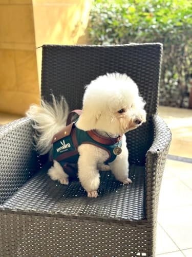 Wakytu Dog Lift Harness Dog Carrier Sling - Image 2