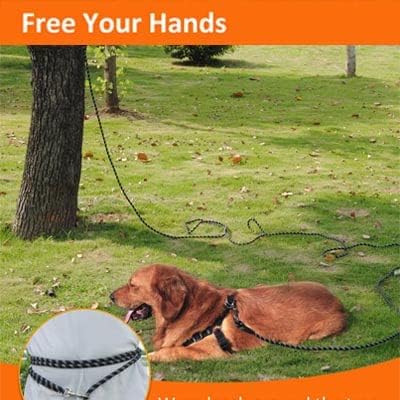 Extra Long 100FT Reflective Dog Leash - Image 7