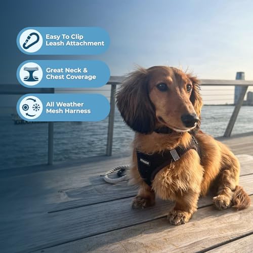 Voyager Step-in Air Dog Vest Harness - Image 3