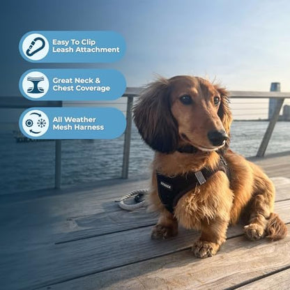 Voyager Step-in Air Dog Vest Harness - Image 3
