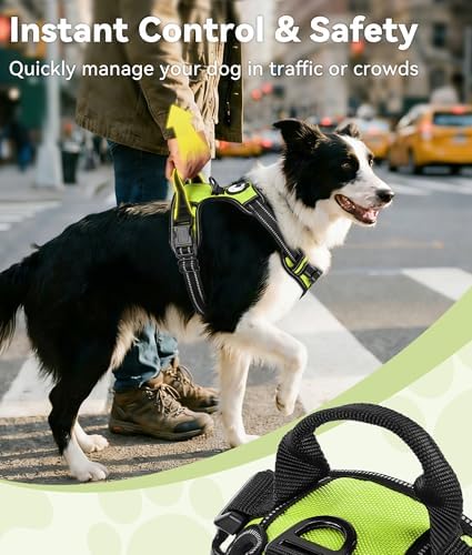 Joytale No Pull Dog Harness Medium Sized Dog, Front Clip - Image 3