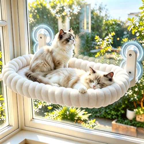 Cat Window Perch by LOVESPORTSLOVELIFELOVEU
